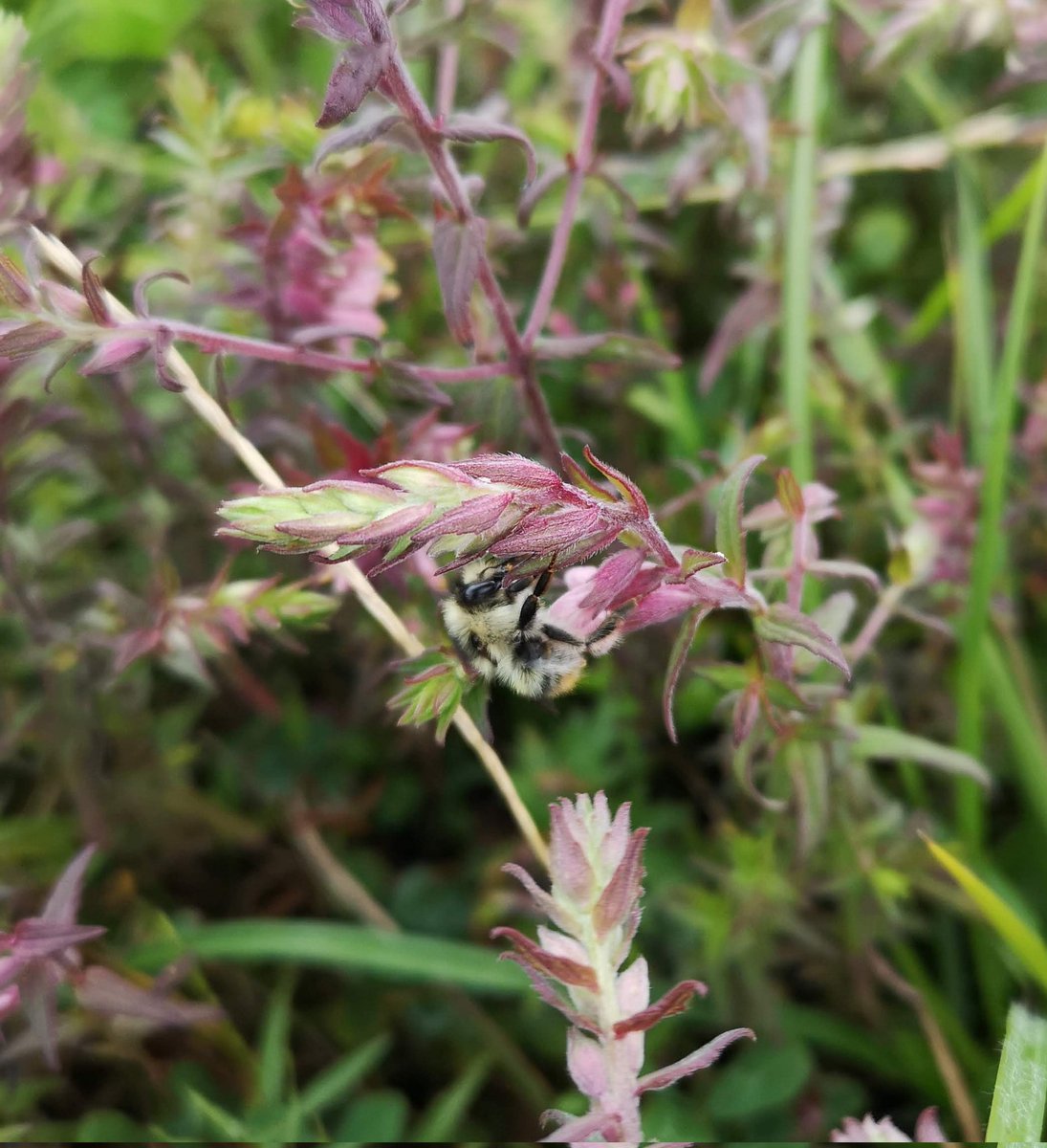 Kayleigh tweet media