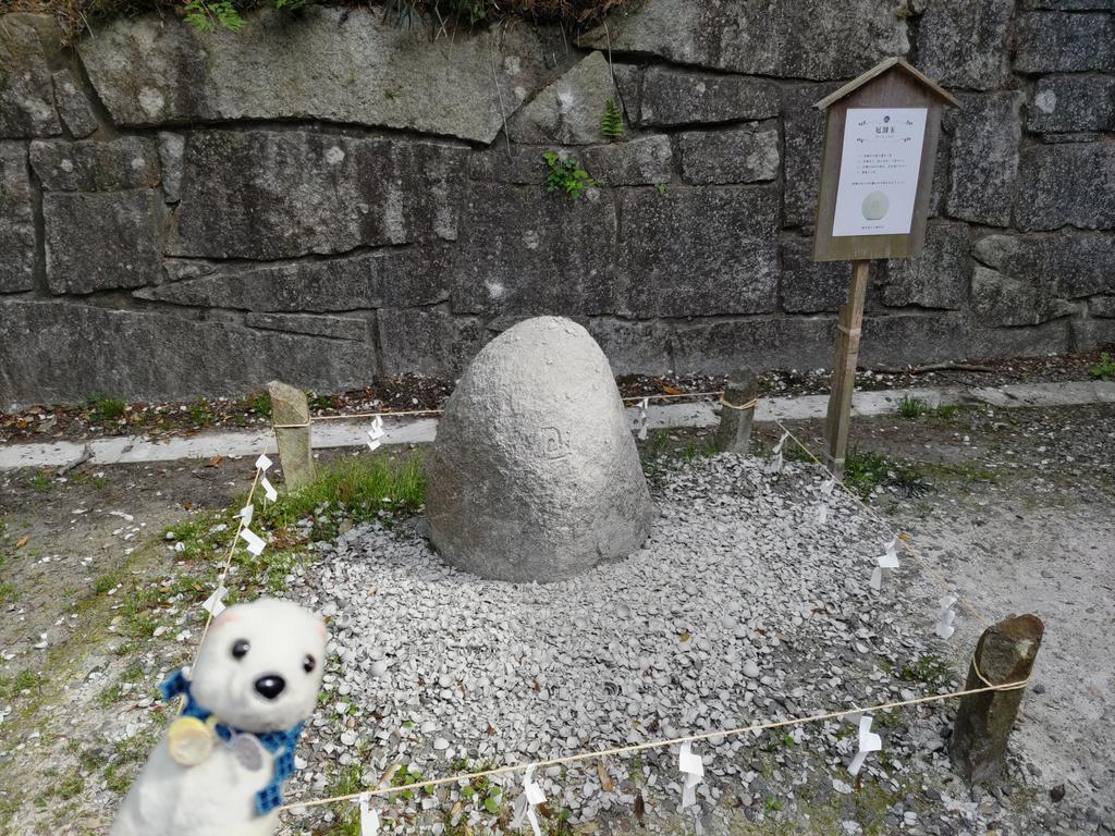 大甕神社の後は、大甕神社から車で数分の泉神社に初参拝。
前から水が湧いてる池を見てみたいと思いつつスルーしてきちゃったけど、時間的に行けそうなので御岩神社前に立ち寄り。
なんか今年はここがメディアで紹介されて年始とかは混んでたみたいですが、この日はそんな混んでなく。
順路通り参拝。