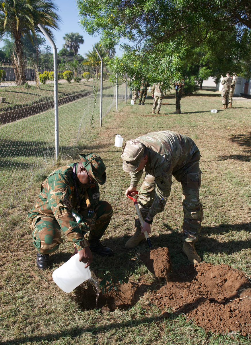SETAF_Africa's tweet photo. This morning, @SETAF_Africa CSM Teakell, #SETAFAfrica and @USArmyEURAF CSM Inman planted a tree 🌳 with Zambia Army Sergeant Major, WO1 Monday Nonde, in Livingstone as a symbol of friendship during #ALFS24
We are #StrongerTogether 🇿🇲🤝🏾🇺🇲
@USArmy @AsstSecStateAF https://t.co/k8nPfeLOBJ