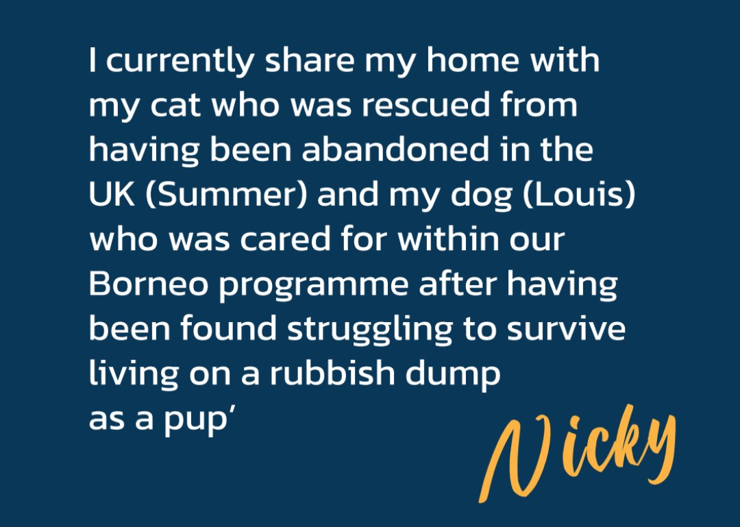 Over the next few weeks we will be introducing you to the IAPWA team - the tribe behind our endless passion and dedication to building a brighter future for animals worldwide. 🐾💙 Let's start by introducing to you Nicky Stevens, IAPWA Founder and CEO 👇