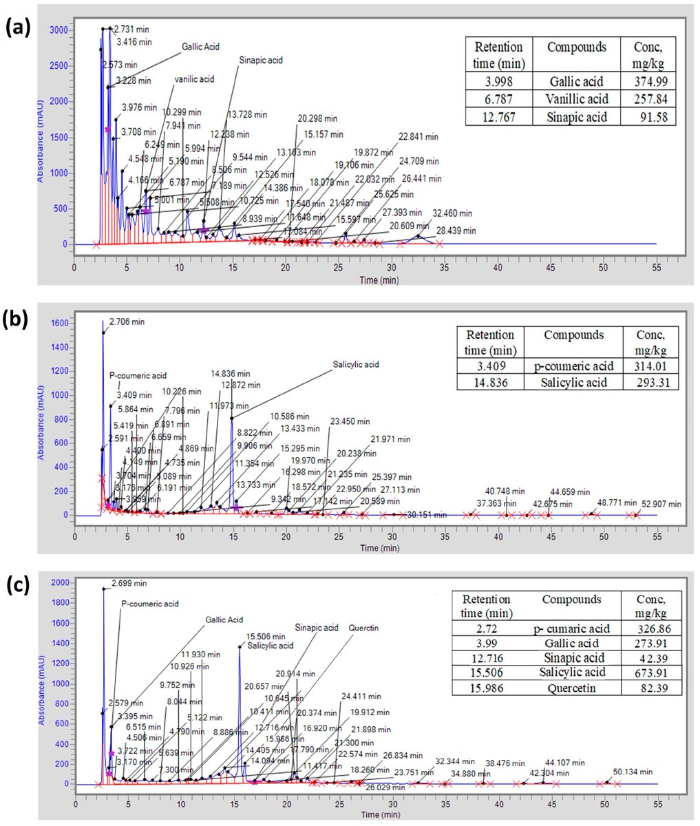 En_formare's tweet image. Phytochemicals, Health-Promoting Effects, and Enzyme Inhibition Traits of Phlomis stewartii Extracts mdpi.com/2695962 #mdpimolecules via @Molecules_MDPI