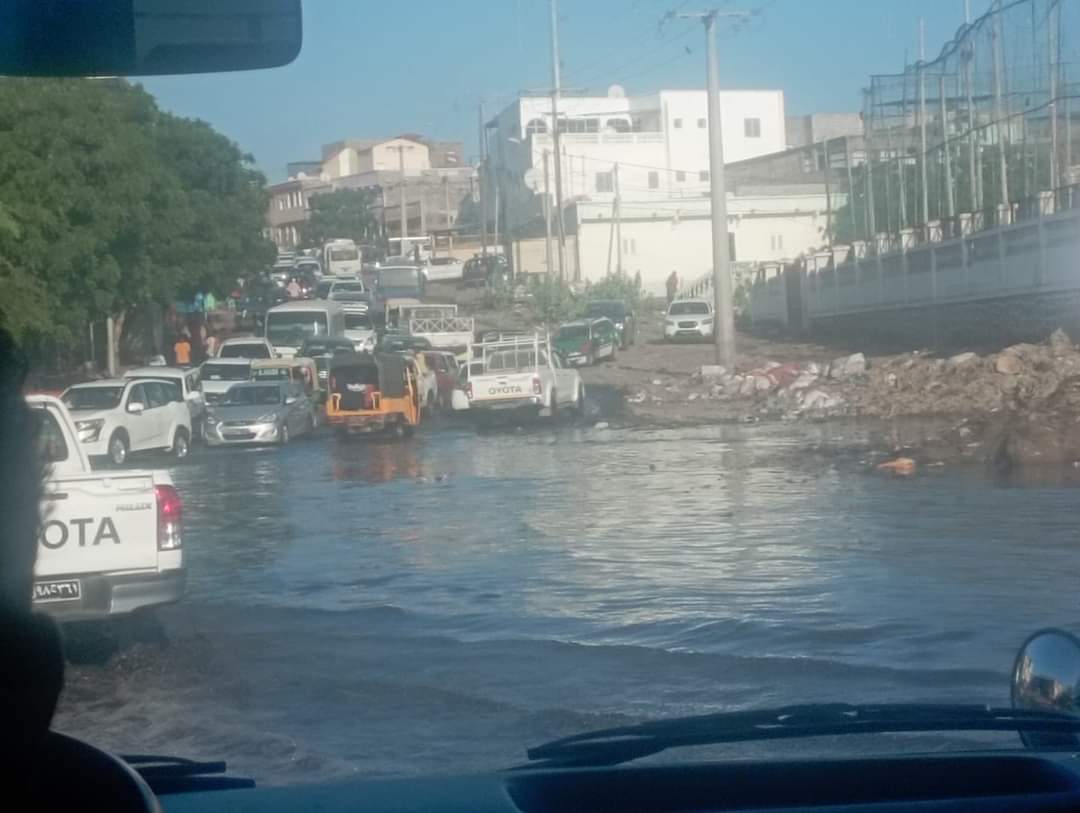 M2Aainan's tweet image. Je sollicite les responsables de la commune de balbala à commencé par le président de la commune et les élus locaux de revoir ce lac de cité barwaqo qui est devenu un véritable rituel pour les habitants.C'est dommage que les années passent sans trouver une solution pour à ce lac