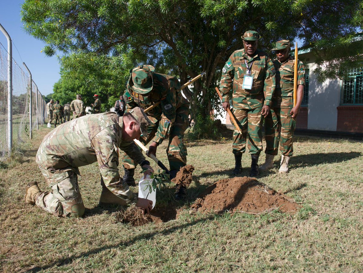 This morning, @SETAF_Africa CSM Teakell, #SETAFAfrica and @USArmyEURAF CSM Inman planted a tree 🌳 with Zambia Army Sergeant Major, WO1 Monday Nonde, in Livingstone as a symbol of friendship during #ALFS24 We are #StrongerTogether 🇿🇲🤝🏾🇺🇲 @USArmy @AsstSecStateAF