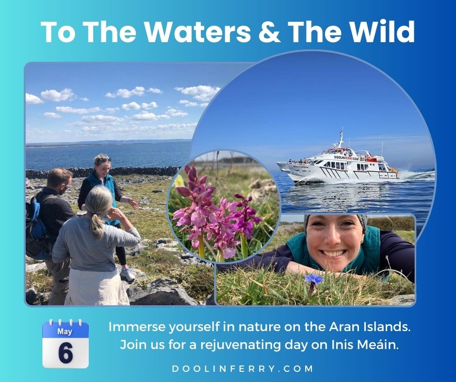 Escape 'To The Waters And The Wild' this May bank holiday Monday for a rejuvenating Aran Islands day out! Sail from Doolin to Inis Meáin on May 6th and enjoy a guided wildflower walk learning about Ireland's native wildflowers and folklore. More info: doolinferry.rezgo.com/details/337471…
