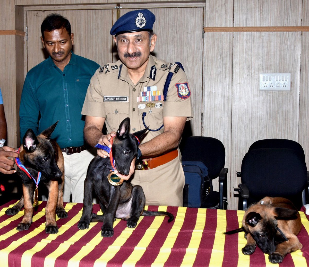 #Chennai: Three Belgian Shepherd pups were added to the Greater Chennai Police’s canine squad. GCP Commissioner Sandeep Rai Rathore named them Carlos, Charles and Lando.