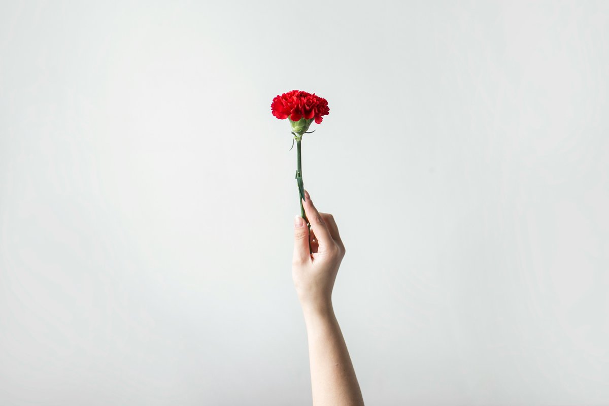 visitportugal's tweet photo. 50 years later of the #25aprilrevolution, we revisit the emblematic sites of the fight for freedom in the Carnation Revolution. Discover more about the history of #Portugal! ➡https://t.co/UuFmZv0yFI 
📷©ChayTessari_Unsplash 
#visitportugal #25abril #CarnationRevolution https://t.co/j3TcCkB3GT