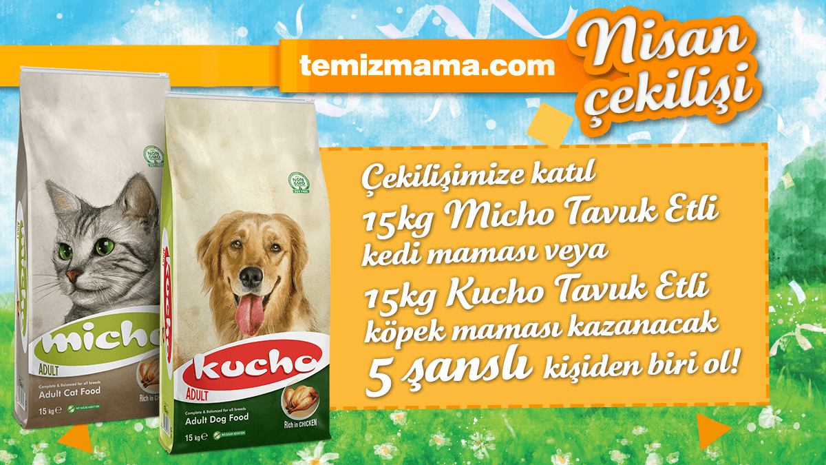 🥳 Temizmama Nisan çekilişi başladı! 🥳

👉 <a href="/temizmamacom/">Temizmama</a> hesabımızı takip et. ✔️⁠
👉 Gönderimizi beğen ve repostla. ❤️⁠
👉 Bir arkadaşını yoruma etiketle. 💬⁠

5 takipçimize: 😻 15KG Micho #KediMaması veya 🐶 15KG Kucho #KöpekMaması #Hediye! 🐾

Sonuçlar 2 Mayıs!🤩