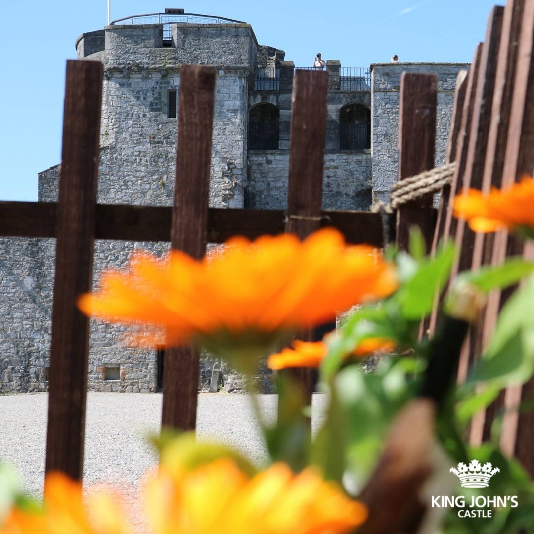 King John's Castle is a great day out all year round but the sunshine makes it even more special☀️ Ascend our castle turrets for panoramic views of Limerick City and its surroundings, or immerse yourself in our courtyard games. It's the perfect way to enjoy a sunny day out! 🏰