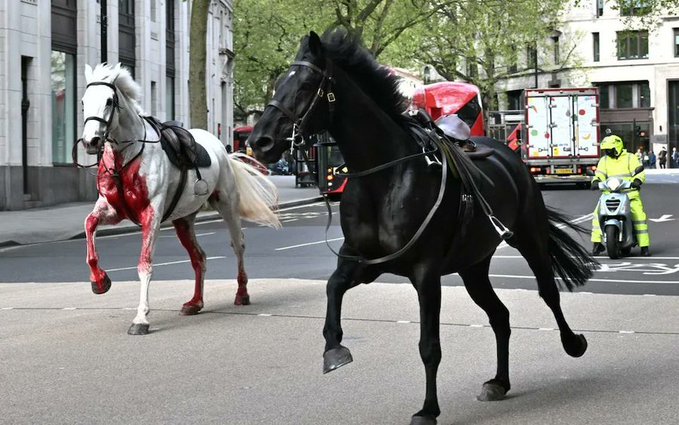 austerity & cuts are so bad in the UK even the Four Horses of the Apocalypse have been cut to two