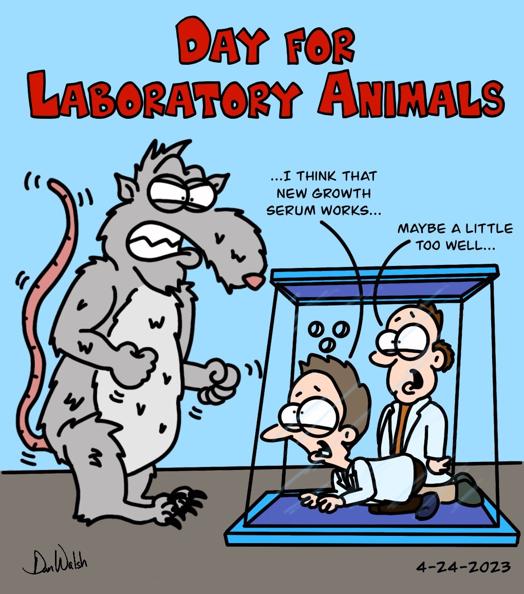 DanWCaricature's tweet photo. Oh, rats…Like and share!
https://t.co/WwHsCFkivB
#danwdrawings #artoftheday #cartoons #digitalart #comics #comicart #fanart #cartoondrawing #cartoonstyle #drawingablank #daysoftheyear #dayforlaboratoryanimals #labrats #rat #rats #laboratory #animal #animals #laboratoryanimals https://t.co/C77zLvciHC