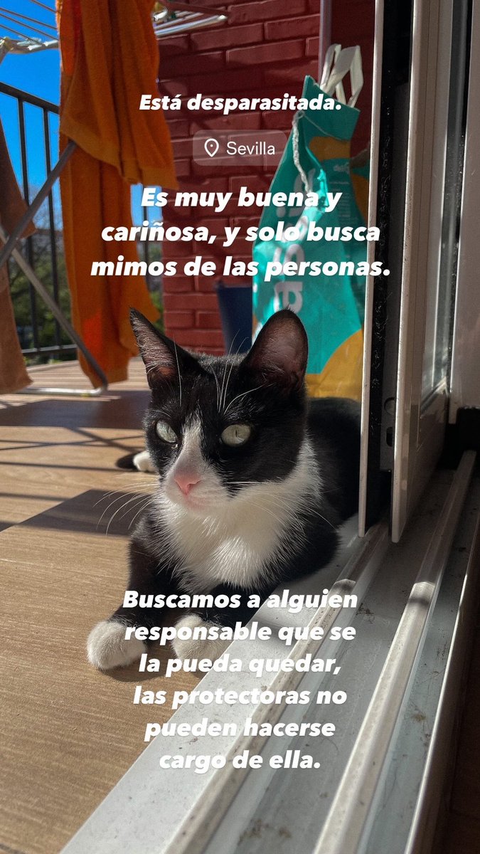 🙏🏽Necesito vuestra ayuda🙏🏽