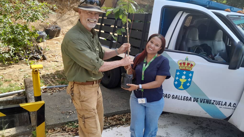 ecopracticas's tweet photo. Ayer recibimos de manos de la Dra. Yazenia Frontado Directora del @proyectoavila de la @unimet  arboles para ser sembrados en el proyecto de #reforestacion de Valle Fresco de la @hermandadgallega un área que tiene gran impacto sobre #Caracas https://t.co/v4A8HIEBI5