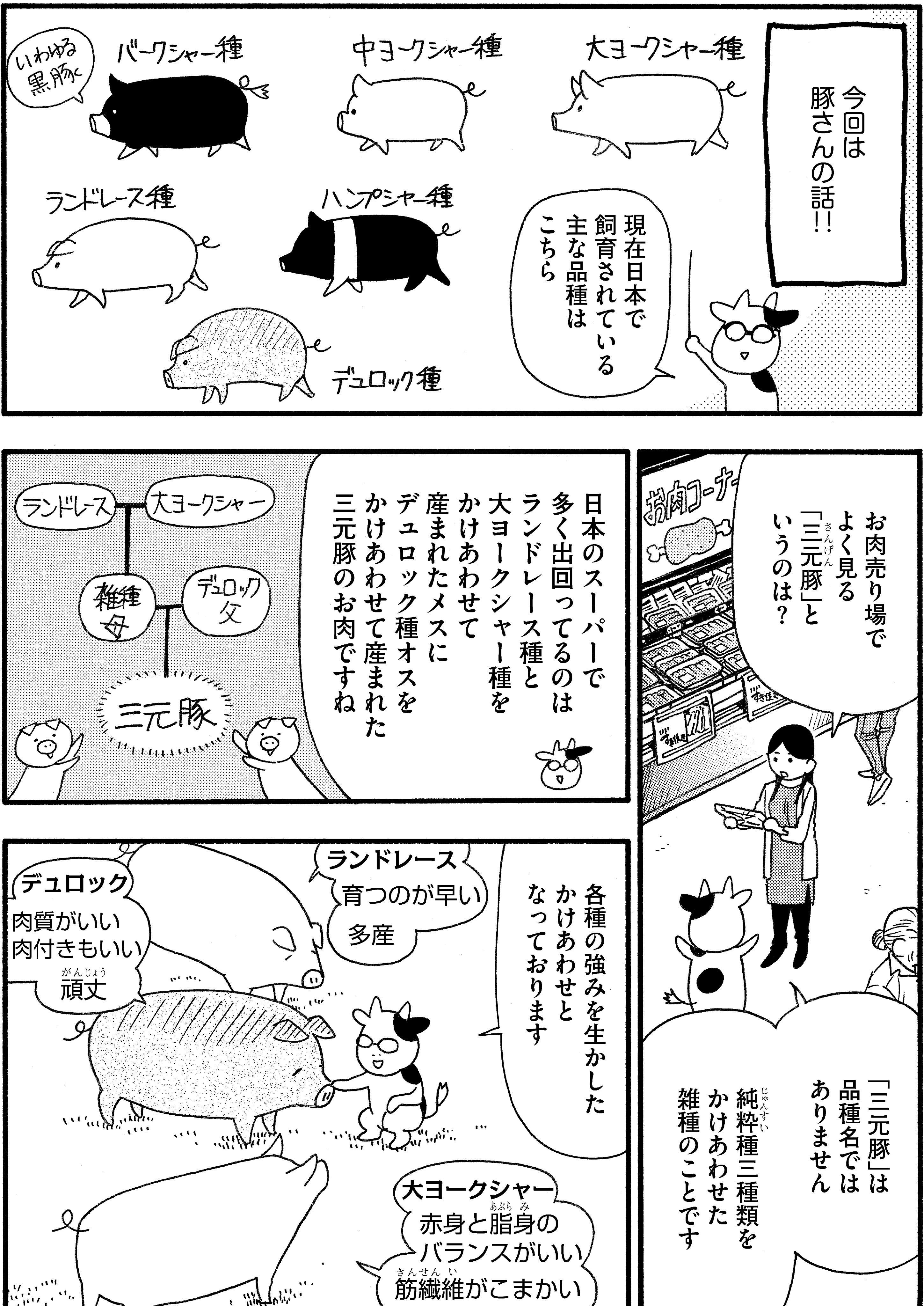 ウィングス編集部 on X: ウィングス編集部 on X: