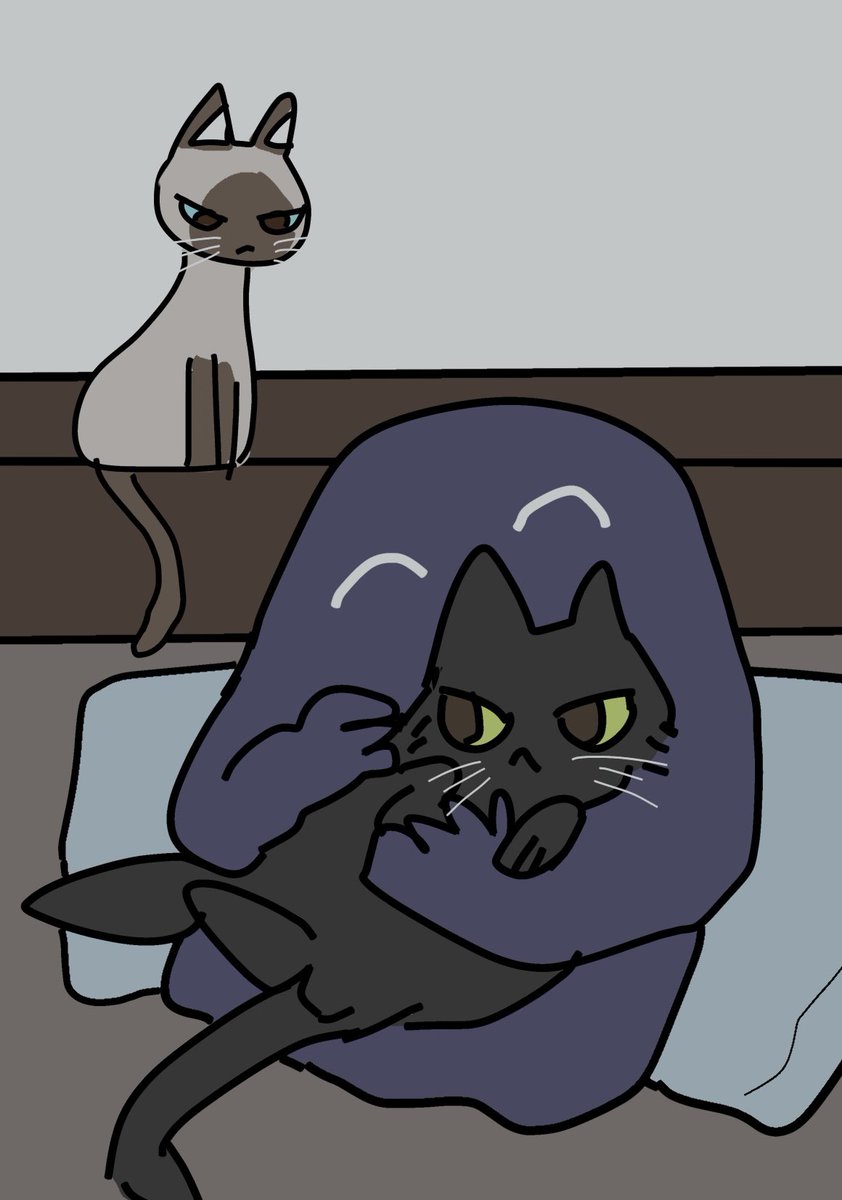 ozwsakesake's tweet photo. みづきを抱いて撫でるとシノがめちゃ怒る https://t.co/Nb7WSrpLSn