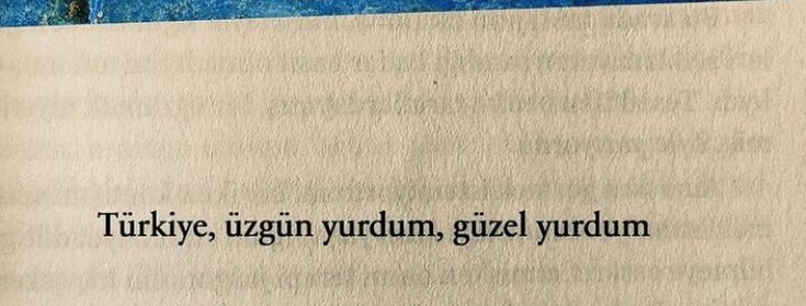 ataol behramoğlu.