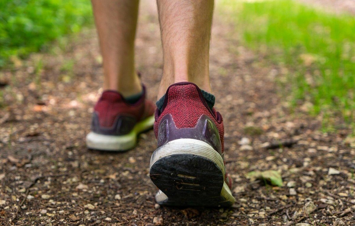 Decathlon va lancer une paire de baskets entièrement imprimée en 3D ➡️ 20min.fr/BTb