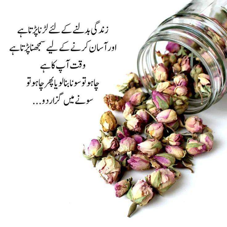 Awais Hameed tweet media