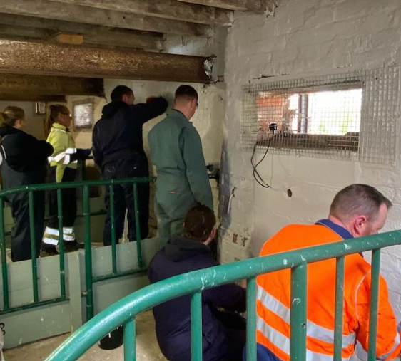 StorengyUK tweet media