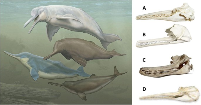 Tristan S. Rapp tweet media