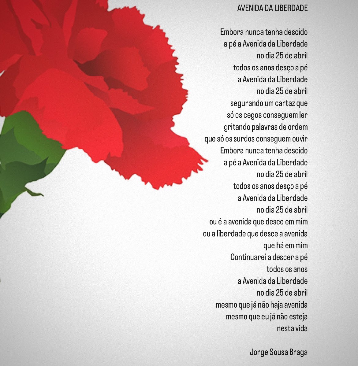 Margarida Tavares tweet media