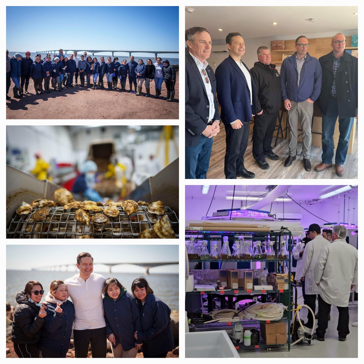 Over 35 yrs of providing oysters & mussels to the world and @PierrePoilievre got to experience a taste of it. PEI is a leader in quality aquaculture and seafood. @atlanticaquafarms @CPC_HQ #foxformalpeque