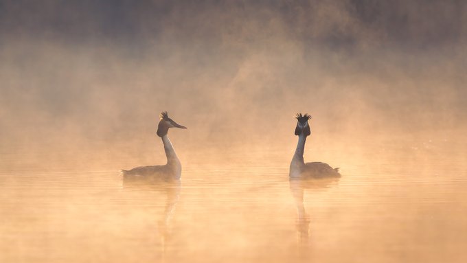 ✨This week's #FSPrintMonday top 4 are in. ⁠ ⁠ 🎉Congratulations to the following Photographers🎉⁠ ⁠ @davidqueenan @tammymarlar @tblockley @SillyPigsPlay Check back at 4pm for this weeks winner.⁠ ⁠ Thanks as always to everyone who entered.