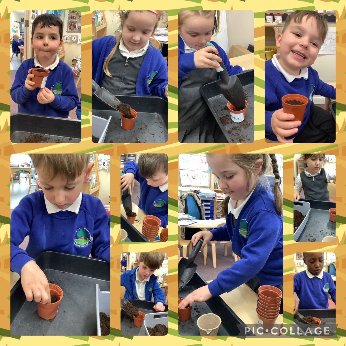 Puffins_RPI's tweet photo. The children loved planting their very own sunflower seeds 🌻 they carefully put soil in a pot, made a little hole and safely put the sunflower seed in ☺️ we can’t wait to watch them grow! @RaundsPark https://t.co/CFNkEtg38T