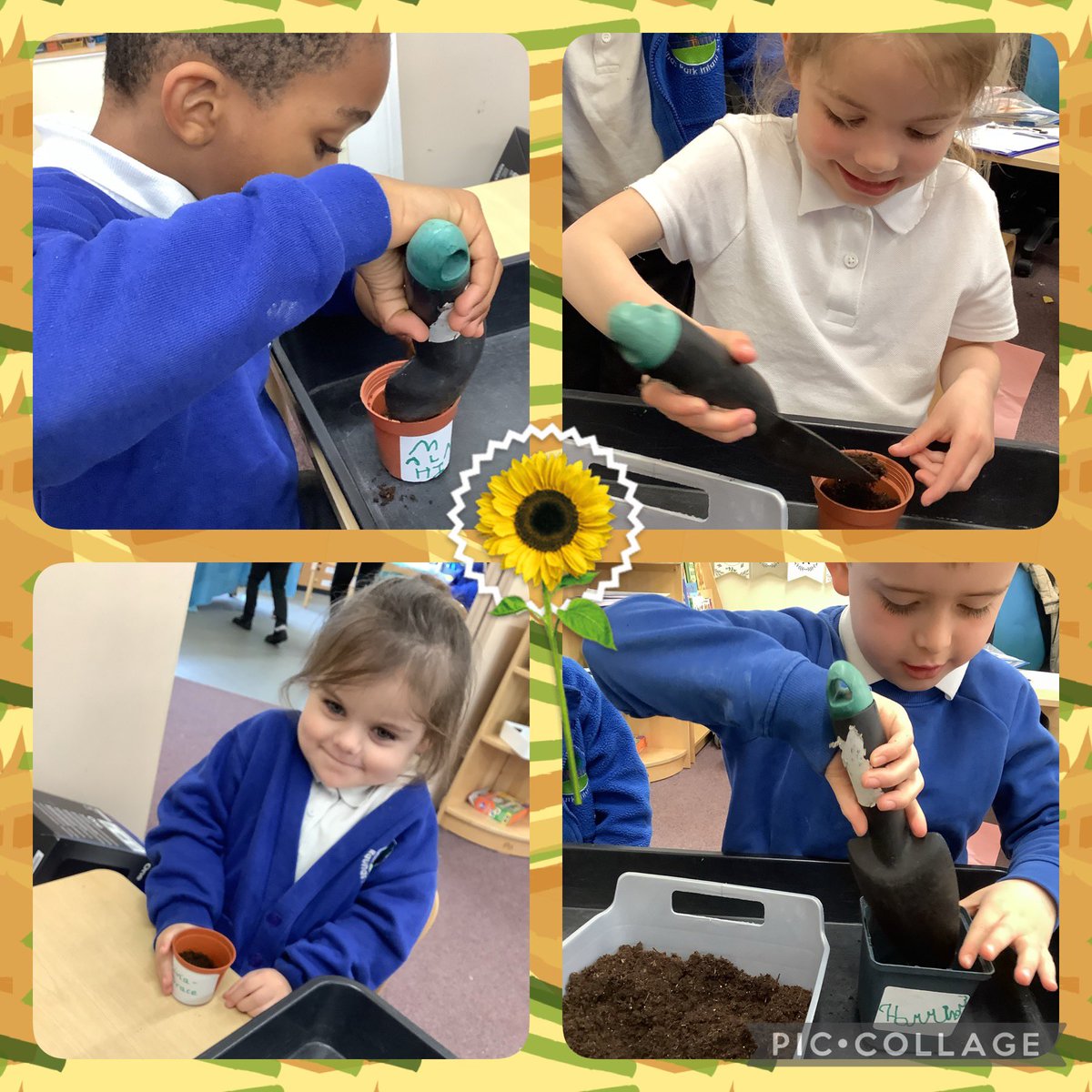 Puffins_RPI's tweet photo. The children loved planting their very own sunflower seeds 🌻 they carefully put soil in a pot, made a little hole and safely put the sunflower seed in ☺️ we can’t wait to watch them grow! @RaundsPark https://t.co/CFNkEtg38T