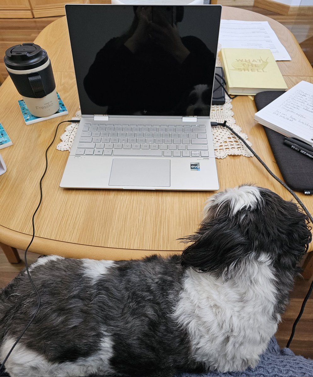 This guy!! I'm sitting here writing, and he jumps up on my lap and puts his head on the desk. ❤️