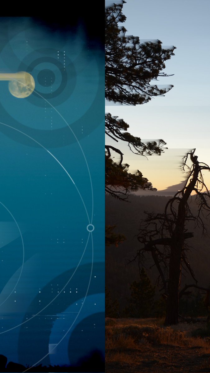 SearchJake's tweet image. #pixelsorter #nikon #aescripts