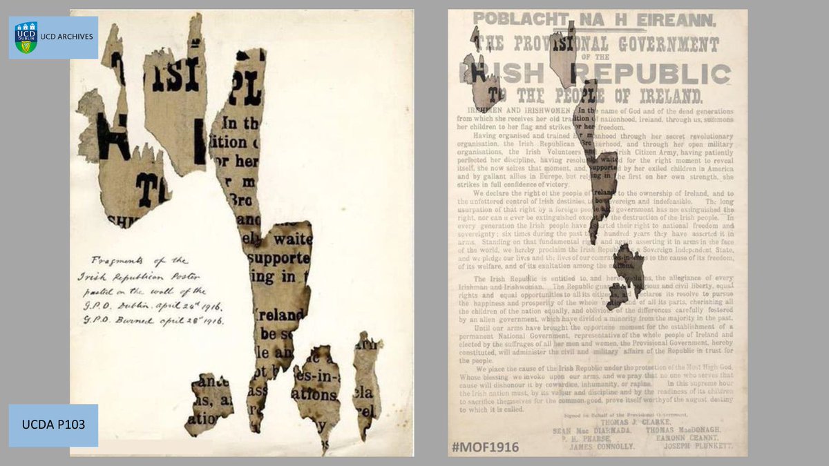 The Easter Rising began #OTD 1916. We hold fragments of an original proclamation which were ‘pasted on the wall of the G.P.O. Dublin. April 24th 1916.' @MOF1916 digitally restored our fragments to their original place, and wrote about them here: ucdculturalheritagecollections.com/2021/08/19/do-…