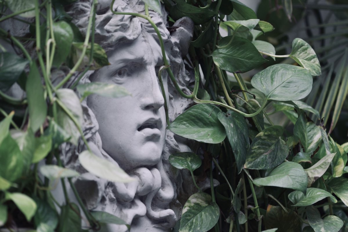junoaggy's tweet photo. Kebanyakan orang taunya tuh Medusa adalah monster yang bisa bikin orang berubah jadi batu pas ngeliat dia. Tahukah kalian kalau sebenarnya Medusa itu adalah korban?

TW: Violence/R4p3 https://t.co/eI77mLhVcH
