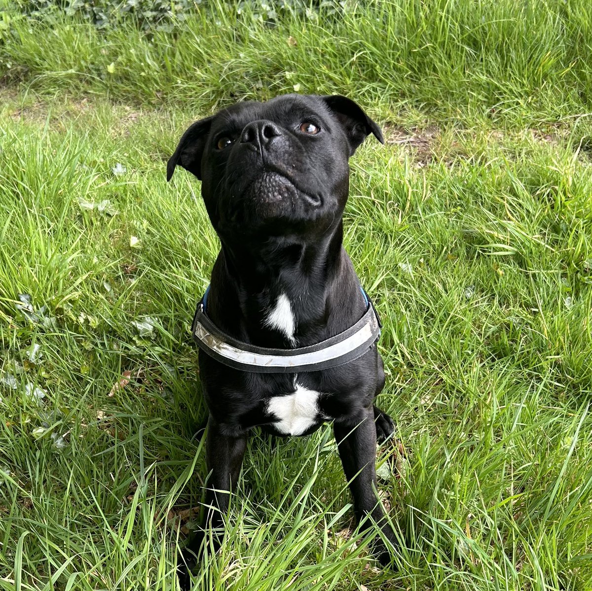 Baby Frank & his teddy, Edward 🧸🏴󠁧󠁢󠁷󠁬󠁳󠁿 tweet media