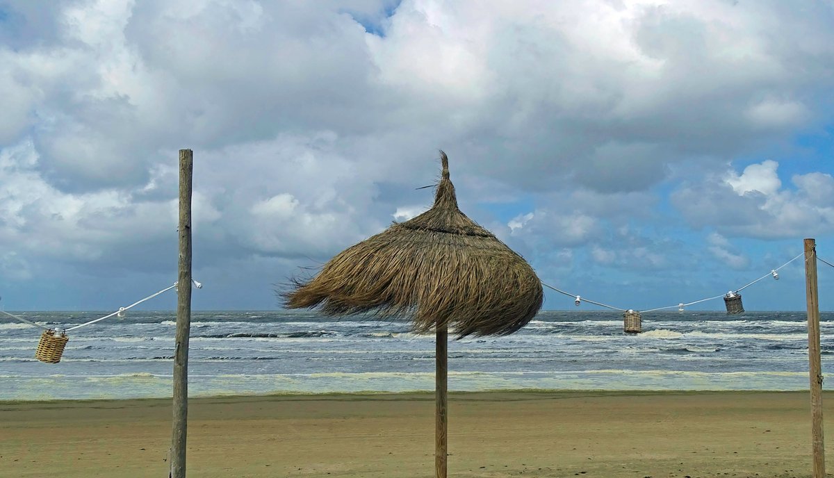 Harde wind langs de kust #egmondaanzee @WilliamHuizinga @nicolienkroon @onwukaa @BuienRadarNL @mrmiddendorp @MarcdeJongRTL @MartijnDorrest1 @EmsWeather @helgavanleur @weermanreinier @jordiweerman @marjondehond @RTLOntbijtnws @RTLnieuws @janvissersweer @NHNieuws