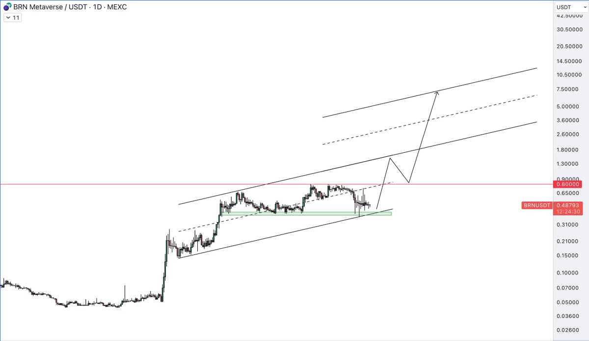 $BRN <a href="/BrnMetaverse/">BRN Metaverse</a> completed 90% of the promised supply burn 🔥 A total of 199M $BRN was burned and the new maximum total supply is now 29.7M. The current circulating supply is 22.5m. The marketcap is only at 12M with huge potential for growth. Holding my bag for long term with