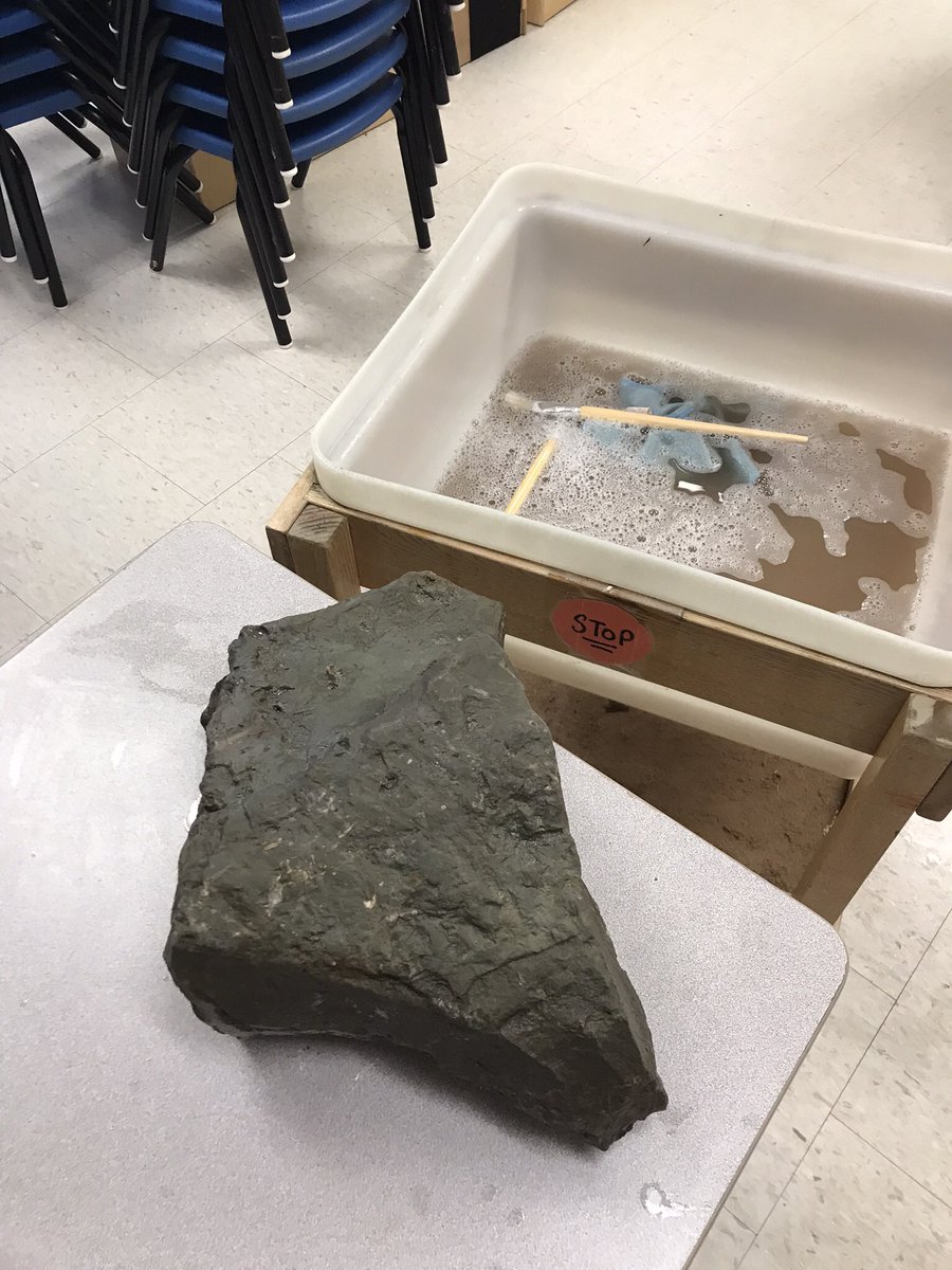 and a giant rock! ( oh to be young) more to come later in the week, but we did find a fossil already