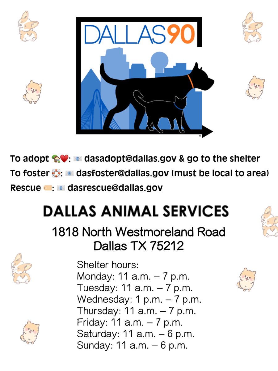 #AdoptDontShop 
#FostersSaveLives 
🤩 Wanna be a hero? ♥️
Emergency placement doggies are good doggies!  #Dallas #Texas 🙏🏽🐶🛟🏡
bedallas90.org/home/emergency…
