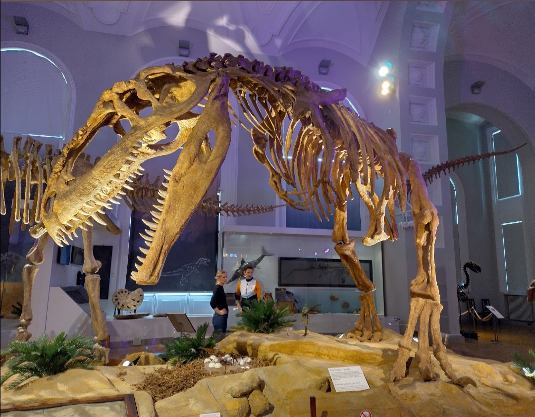 JantunenKaarina's tweet photo. Oletteko käyneet #Luonnontieteelisessä #museossa
Arkadiankadulla Helsingissä?
Sieltä löytyy kaikki...myös linnut ja hyönteiset ja sukupuuttoon kuolleet Euroopan mammutit.. https://t.co/soGK9KGs3j