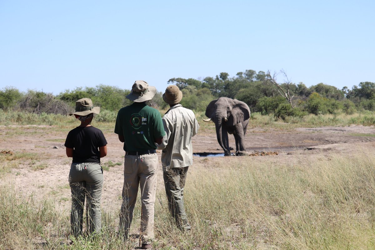 FAOBotswana's tweet photo. The #SWMProgramme CC Project legal review exercise aims to remove barriers and pave the way for positive legislative reforms in sustainable wildlife management while empowering local communities to thrive alongside wildlife." #LegalAwareness
#CommunityConservancy
#Coexistence https://t.co/NUoNoz0iFM