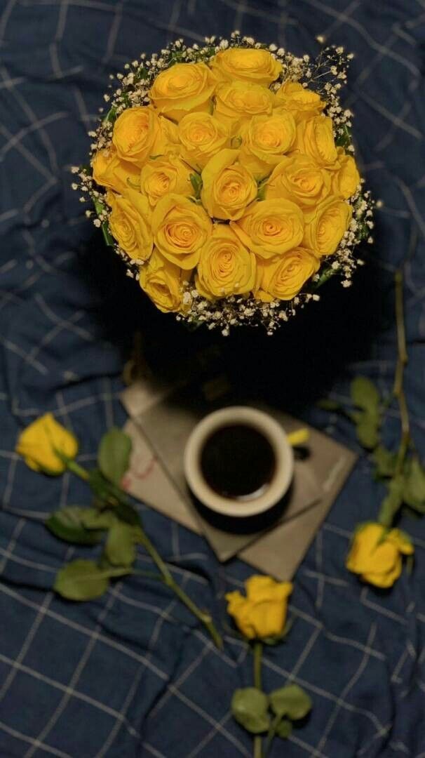 ريـفـان 🌻 tweet media