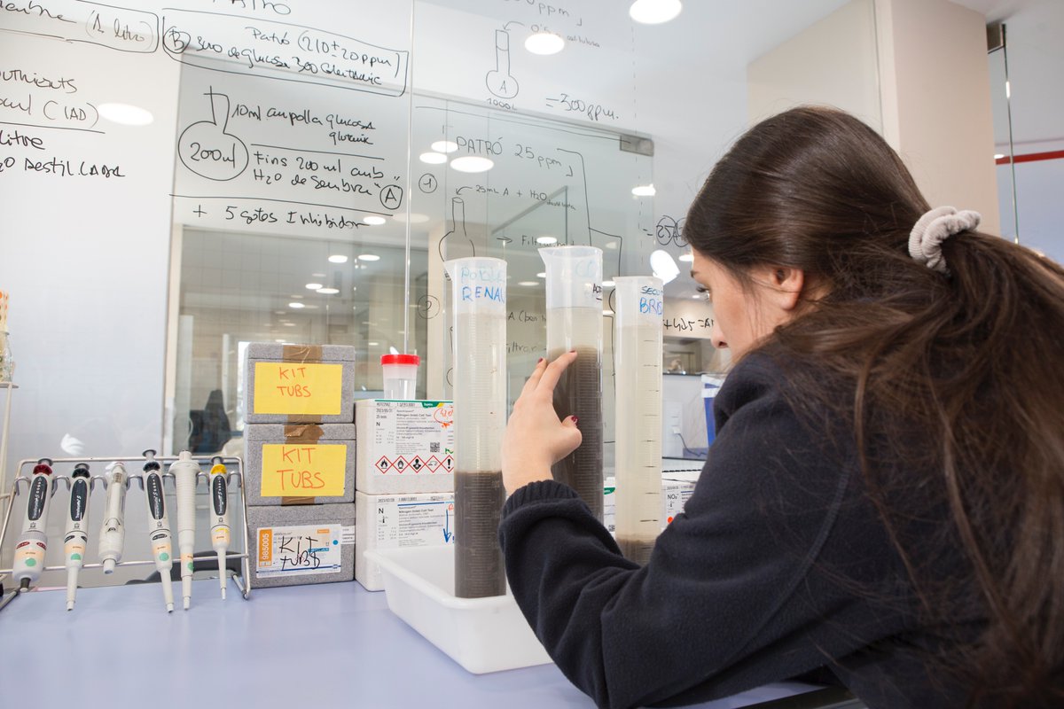 💧 La transformació tecnològica que està vivint el sector de l'aigua requereix cada vegada més professionals qualificats.

👨‍🔧👩🏼‍🔧 L'#FPdual és una de les millors opcions formatives, amb una ocupabilitat del 80 %.

📃 Informa-te'n a: agbarclients.cat/ca/-/el-sector…