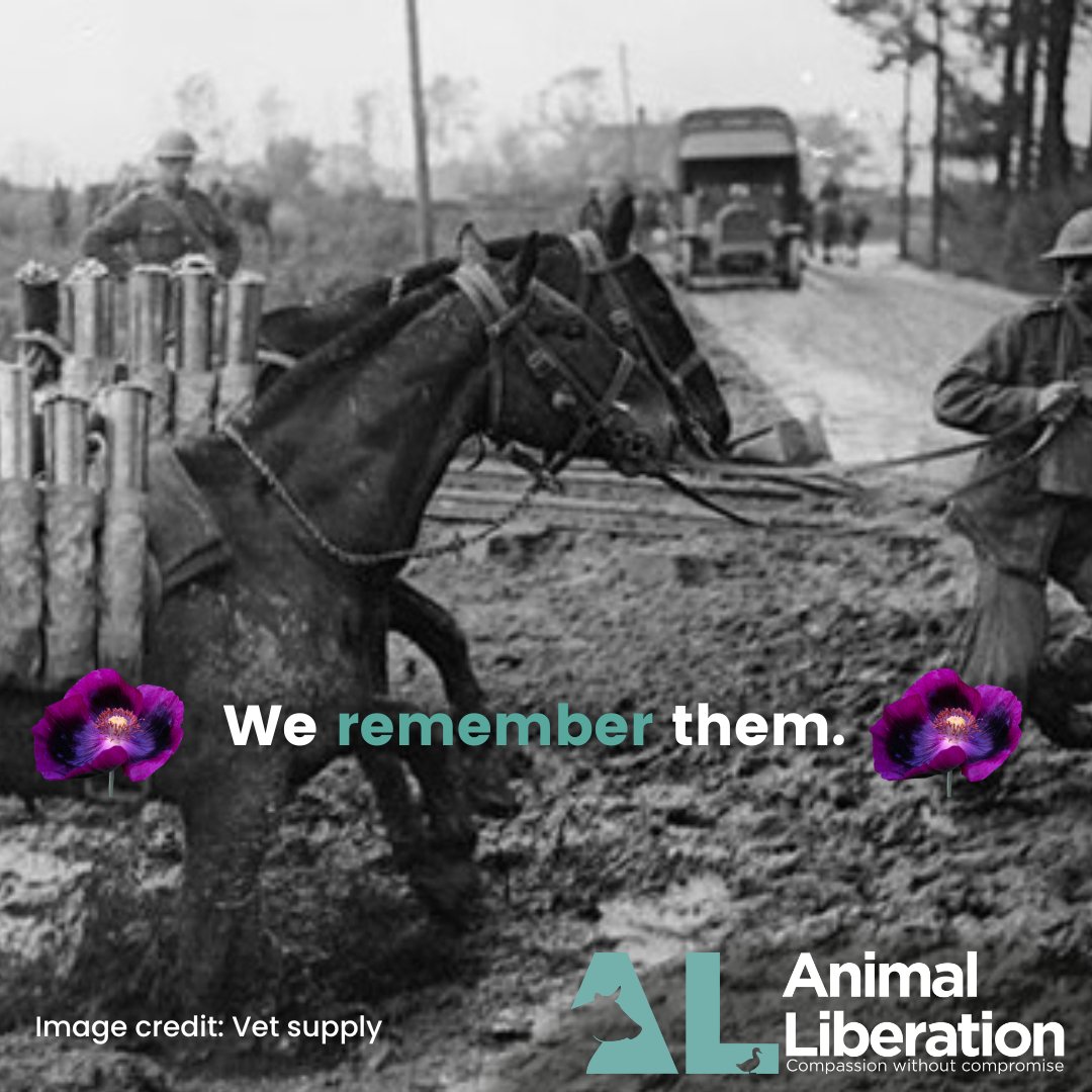 We remember them.