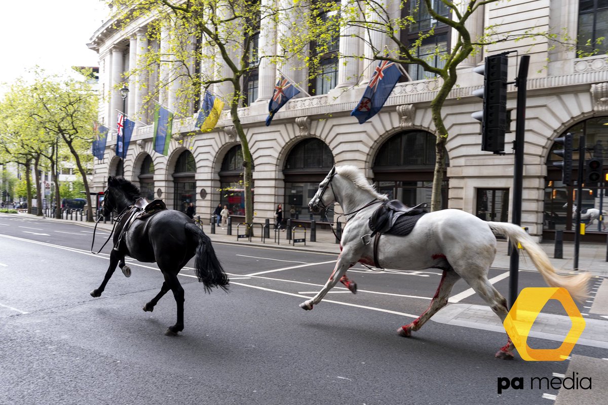 Jordan Pettitt tweet media