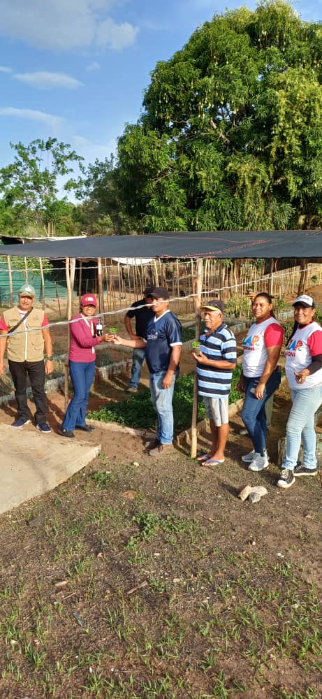 En la Pq. Vista al Sol realizamos el acompañamiento de la CEBAO, MINPPAU en la BMS "Sendero de Luz", donde se llevó acabo el Taller de "Bioinsumos para  Control de Plagas y Enfermedades", para las plantaciones. <a href="/nicolasmaduro/">Nicolás Maduro</a> <a href="/lealtelleria/">M/G Carlos Leal Tellería</a> <a href="/OviedoPSUV/">Tito Oviedo</a> #SembrandoPatria