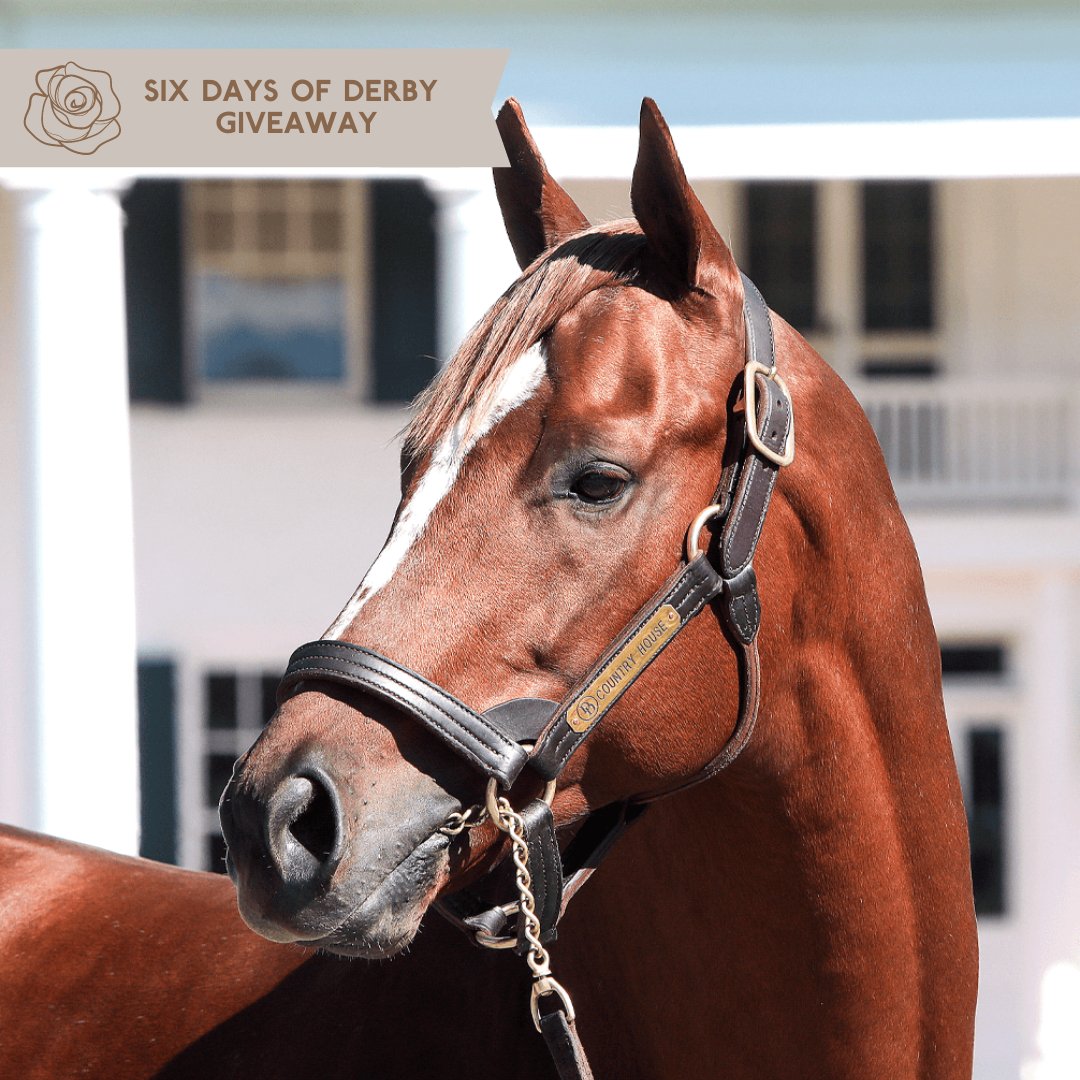 KYHorseCountry's tweet photo. 🌹Day three of the Six Days of Derby celebrates 2019 Kentucky Derby winner Country House, who stands at Darby Dan Farm! Today’s giveaway includes a Darby Dan Farm hat, an official Kentucky Derby glass, and a private tour of Darby Dan Farm for up to six guests. https://t.co/DZu8zLWEMV