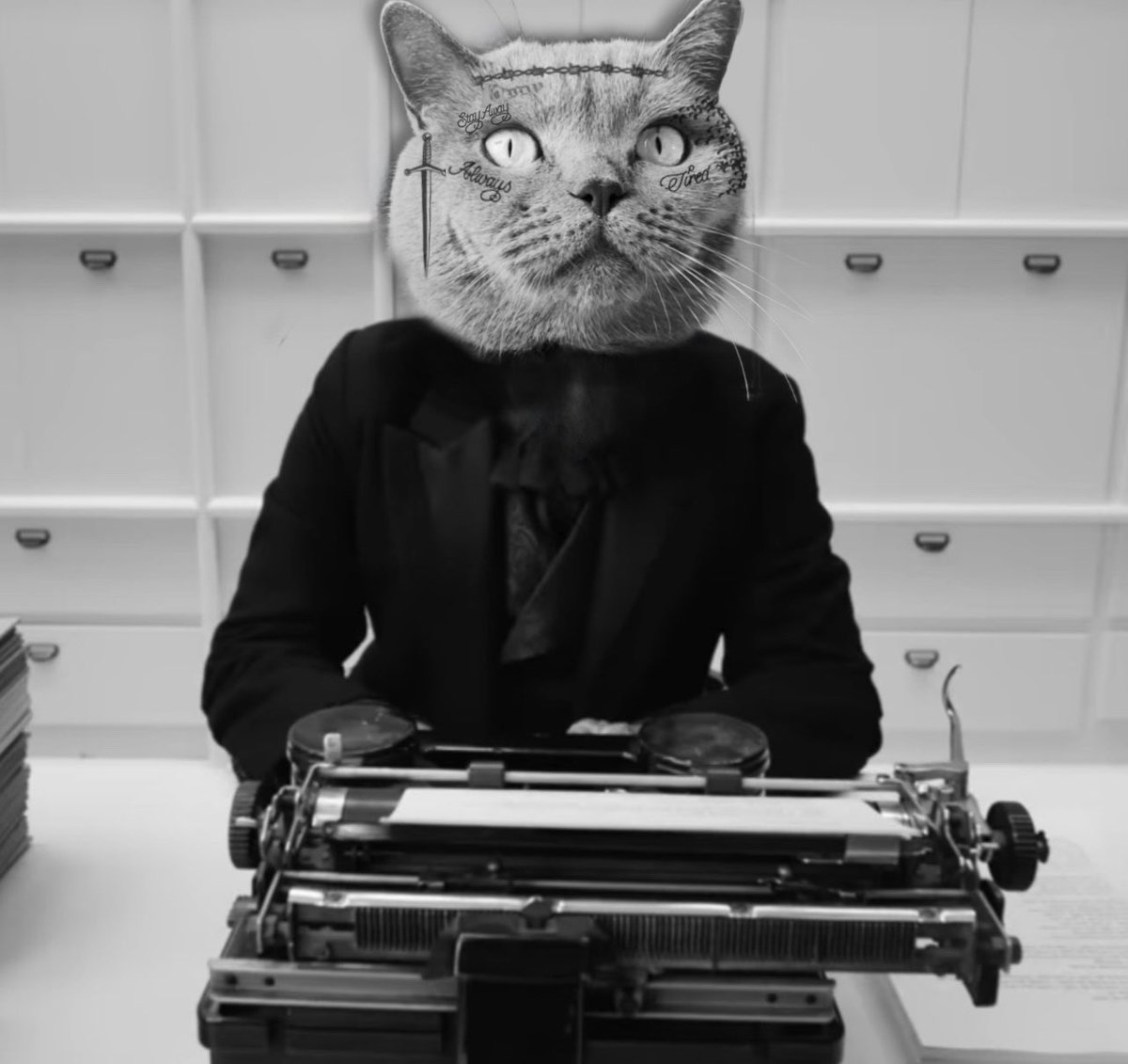 @taylornation13 i love you, it’s ruining meow life!!!!! 🐱 can we talk about the #FortnightVideo some more? #TSTTPD no keyboards involved just typewriters.