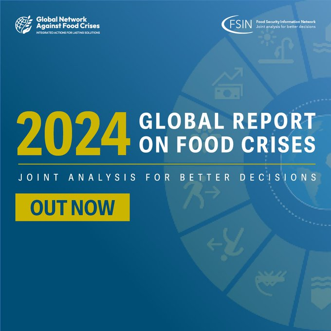 New data shows the link between #displacement and #foodinsecurity. In Gaza, where 80%+ of ppl have been internally displaced, over half face catastrophic food insecurity with famine imminent in some areas. Learn more in the #GRFC24 report: bit.ly/GRFC2024
