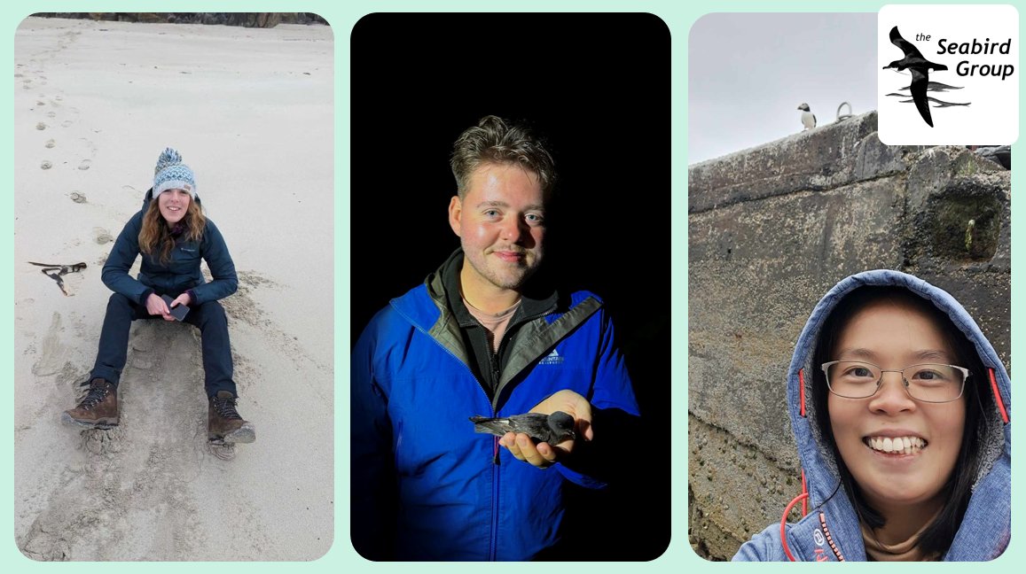 We're pleased to announce the 3⃣ successful applicants of our 2024 training grants 🥳 @GwennanOutside is heading to @SkokholmIsland, @jelaine_gan is visiting @IofMayBirdObs, & @_jdbirder is going to @bardseyobs! We hope they have wonderful #seabird-filled experiences! 🐦🏝️🌊