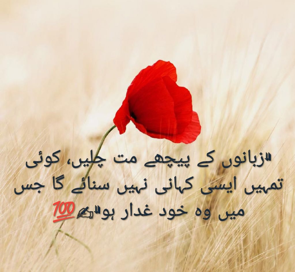 Ali Akbar (@ali_akbaronly) on Twitter photo 