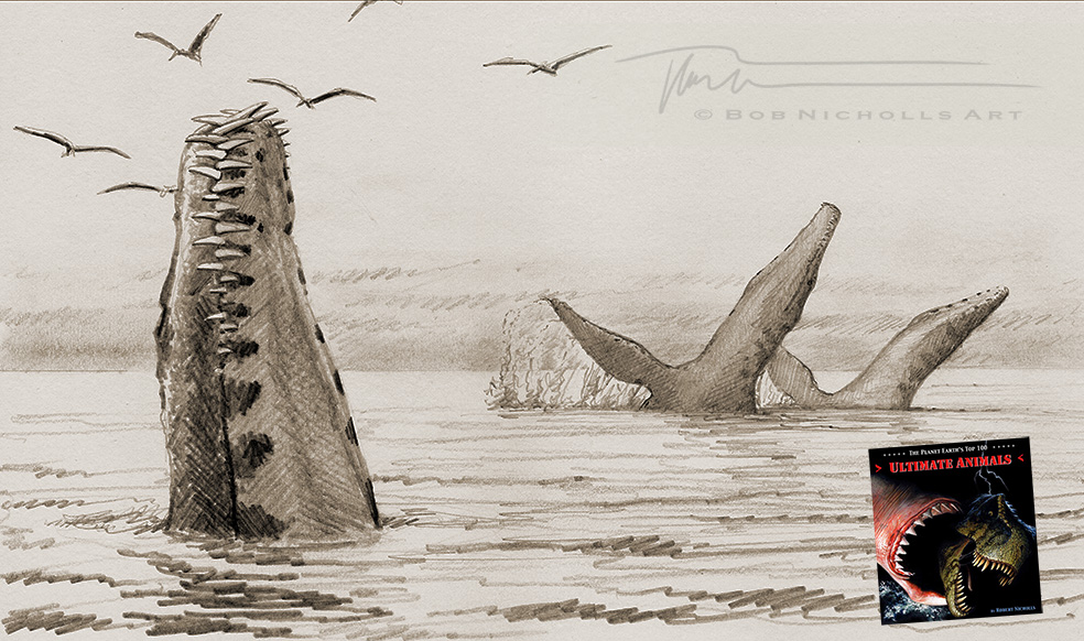 My 25 years of palaeoart chronology...

In 2004 I played with a book idea but never took it to a publisher. I did 100 draft drawings for the proposal (never completed), I'll post a few throughout today. Third is Kronosaurus.

#SciArt #SciComm #Dinosaurs #PalaeoArt #PaleoArt